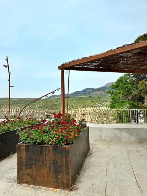Los Molinos Quesada Buitenkant foto
